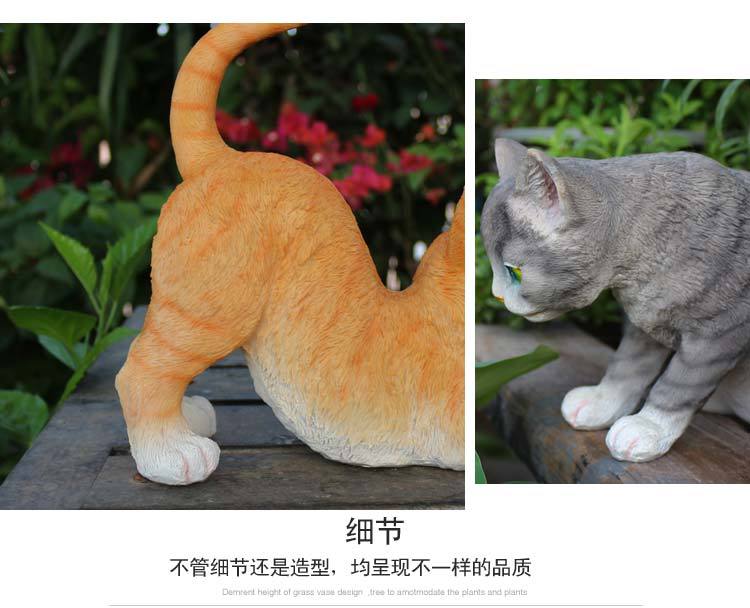 猫咪_18.jpg