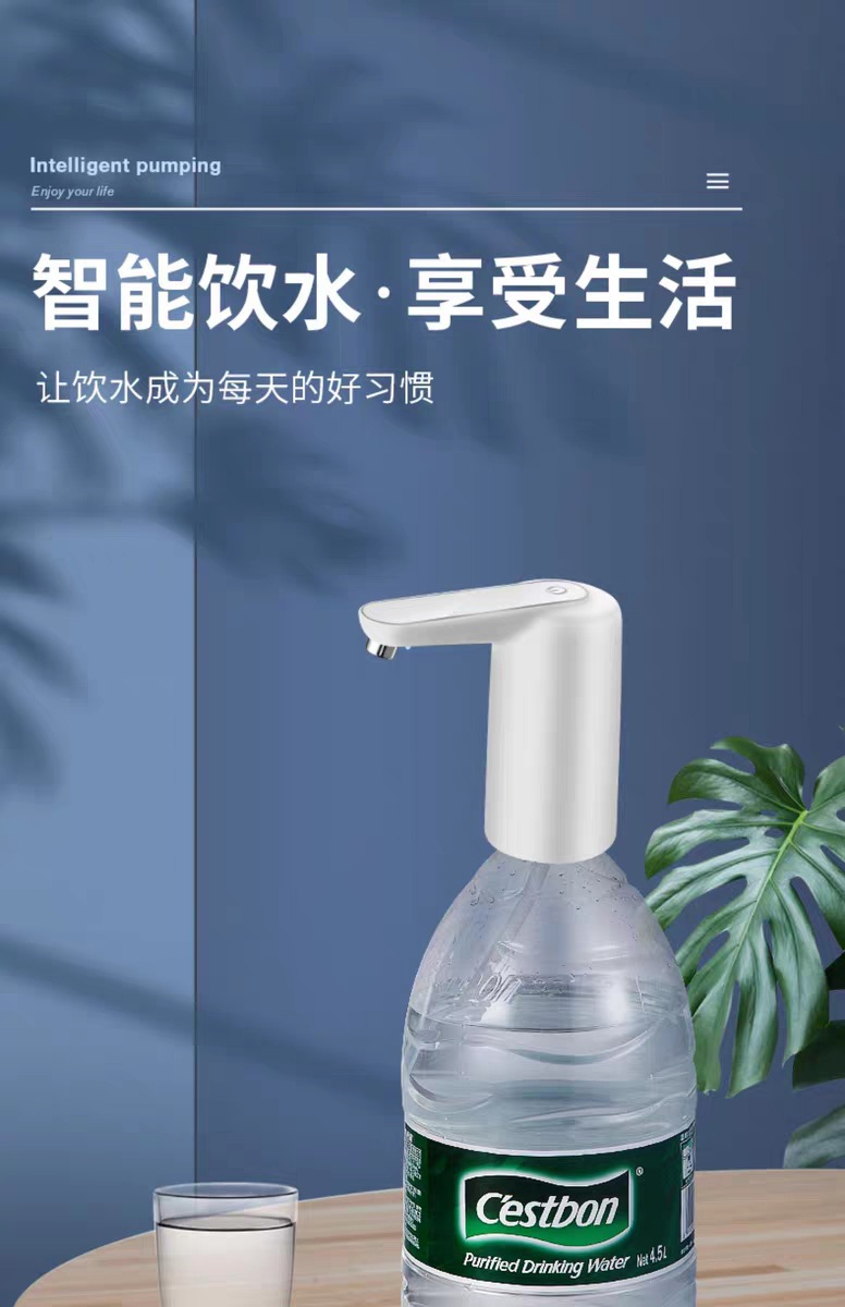 带灯款描述1