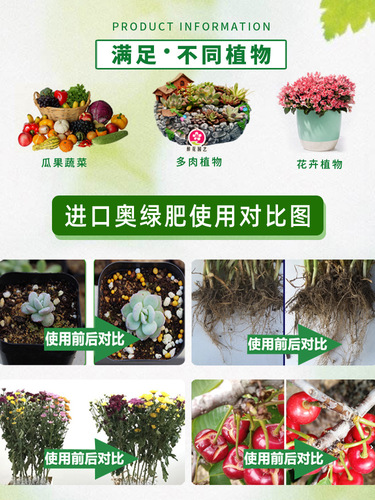 A2 General Purpose Succulent Plant Slow-Release Fertilizer for Home Use, Rose Fertilizer, Flower Power Buds Booster Water Soluble Fertilizer
