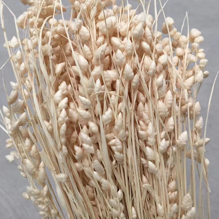 微信图片_20200129000558