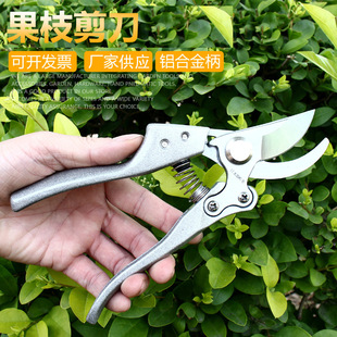 �@�ֹ����ձ�sk5䓻�݆ʡ���@ˇ��֦����֦��֦�� ˮ��������֦��