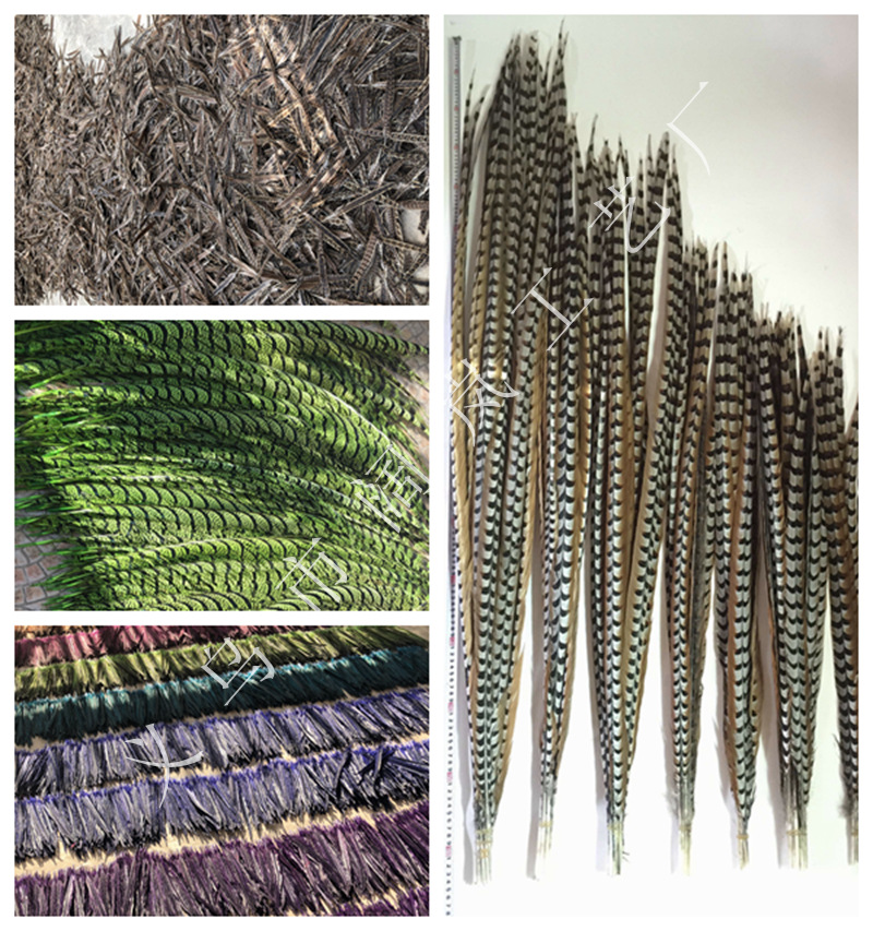 NeoImage_副本_副本