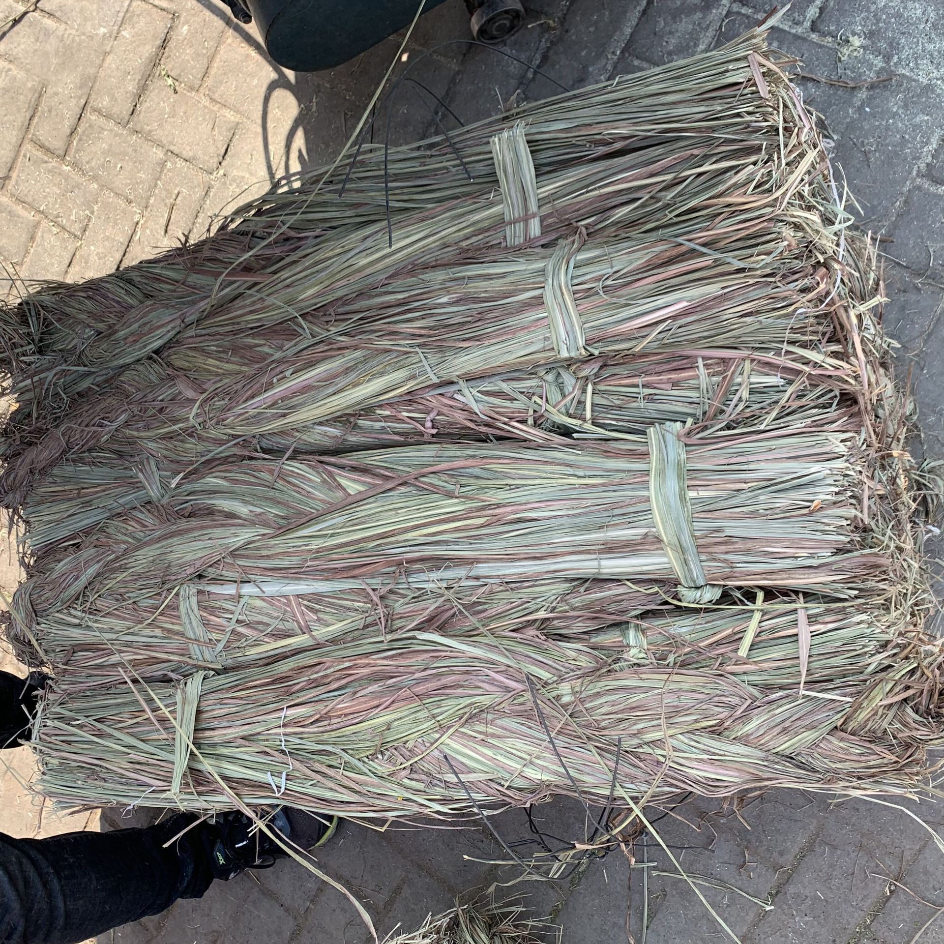 Dried Lemongrass Xiang Mao Cao Natural Sun-Dried Herb for Tea and Culinary Use 500g in use
