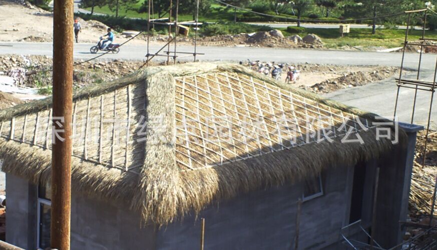 黄茅草屋顶 (26)