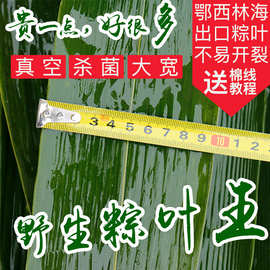 端午粽叶粽子叶鲜大号箬竹叶保鲜家用大棕叶真空厂家批发竹木竹制