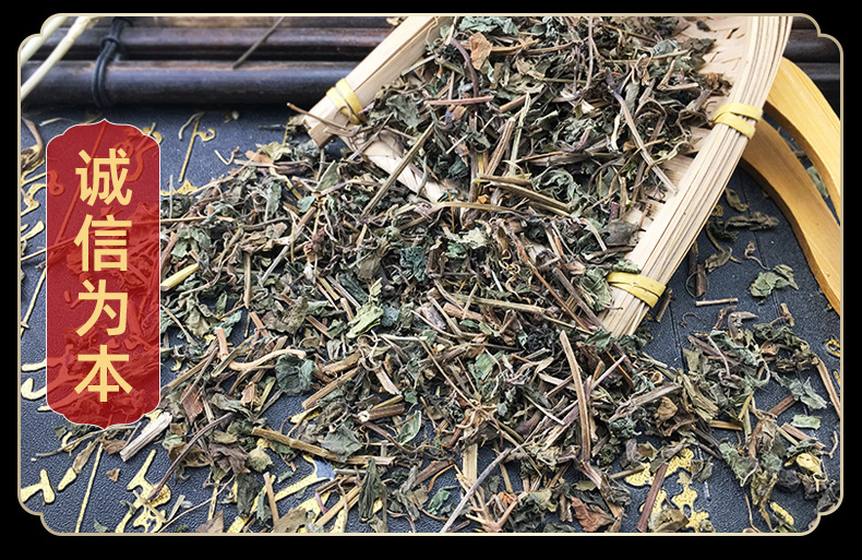 Jiaogulan Herb Gynostemma Pentaphyllum Dried Whole Herb Traditional TCM Tea Ingredient 1 Jin 500g in use