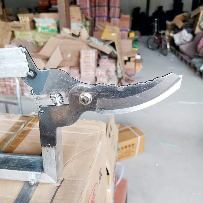 微信图片_20200511171036