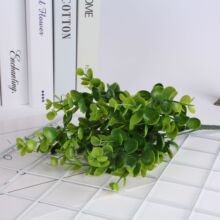 7��35Ŀ ���ȼ��� ���X�ݷ��滨 �ȼ������m�ݾGɫֲ��