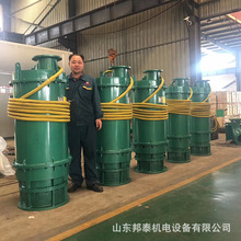 防爆潜水泵 BQS500-120/2-280/N防爆排污排沙泵BQS矿用防爆排污泵