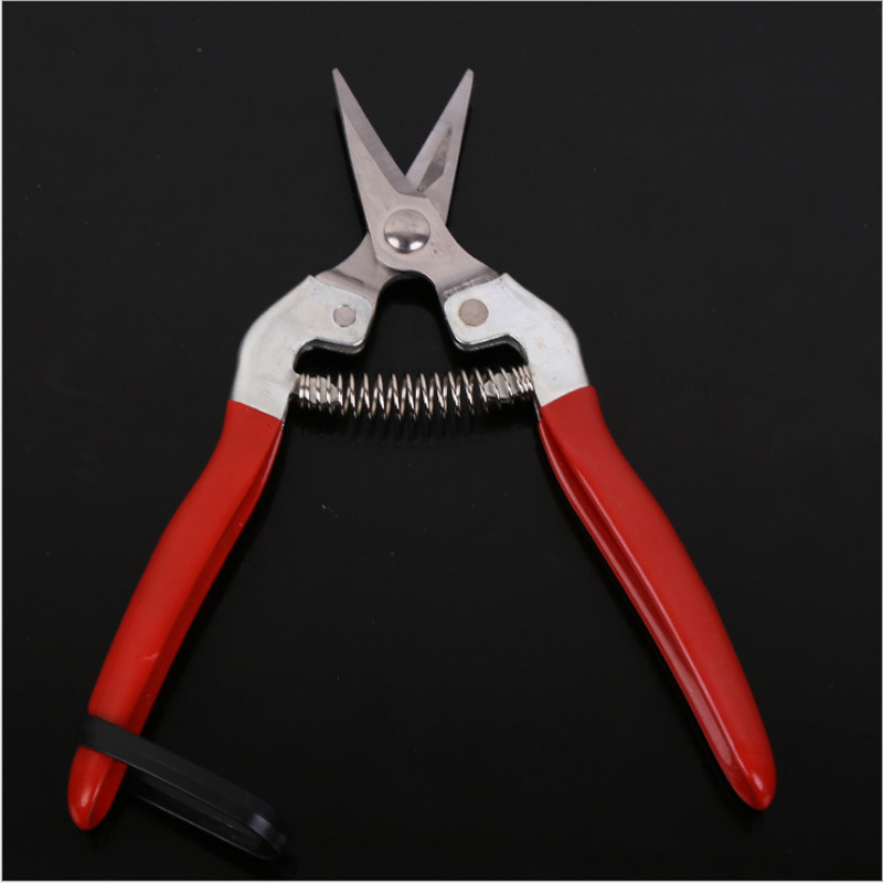 Silin rare fruit pruning, thinning fruit pruning, picking grapes, tomato flower branches pruning, steel core, red rubber handle, short upturned head