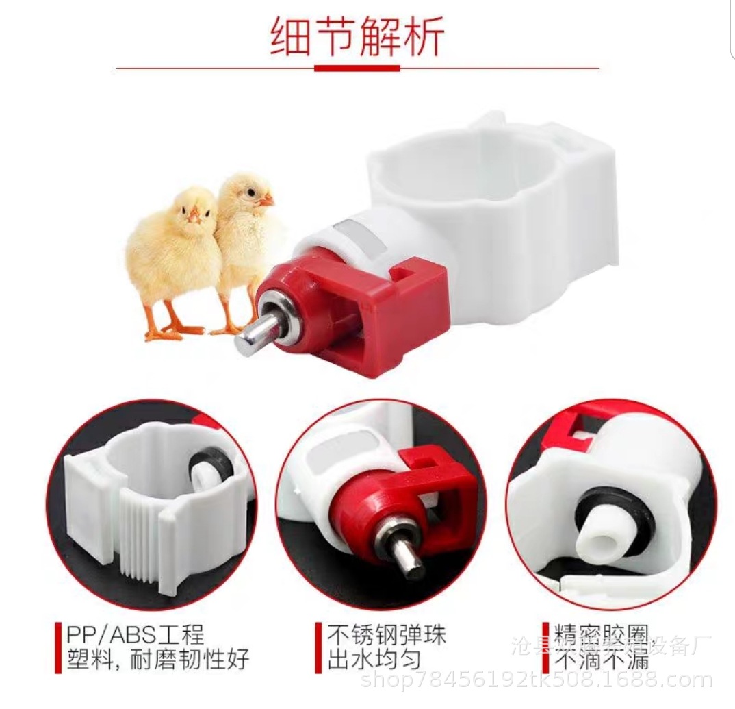 QQ图片20200416224028
