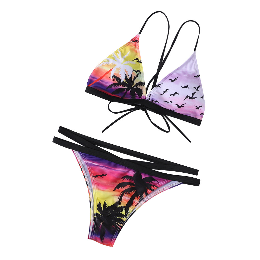 new split swimsuit feminine print triangle swimsuit bikini  NSHL3341