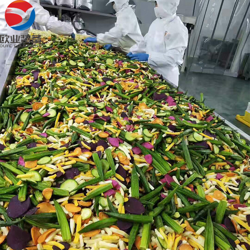 河南核桃仁真空油炸机  干果食品加工设备  山野菜真空低温油炸机