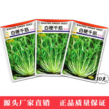 京水菜 京水菜品牌 图片 价格 京水菜批发 阿里巴巴