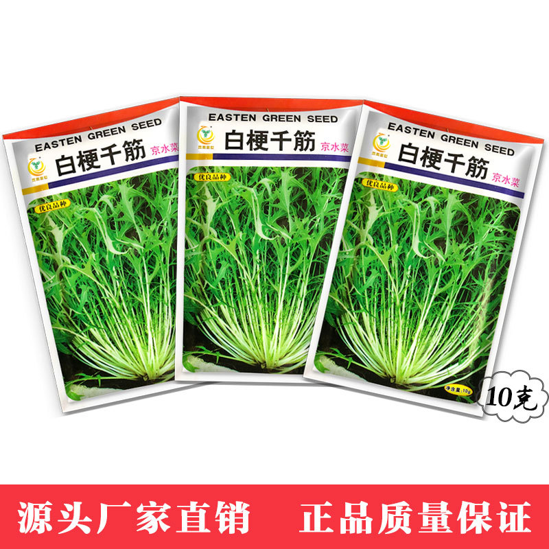 凤鸣雅世批发日本京水菜种子10克蔬菜种子直销大棚基地用种 阿里巴巴