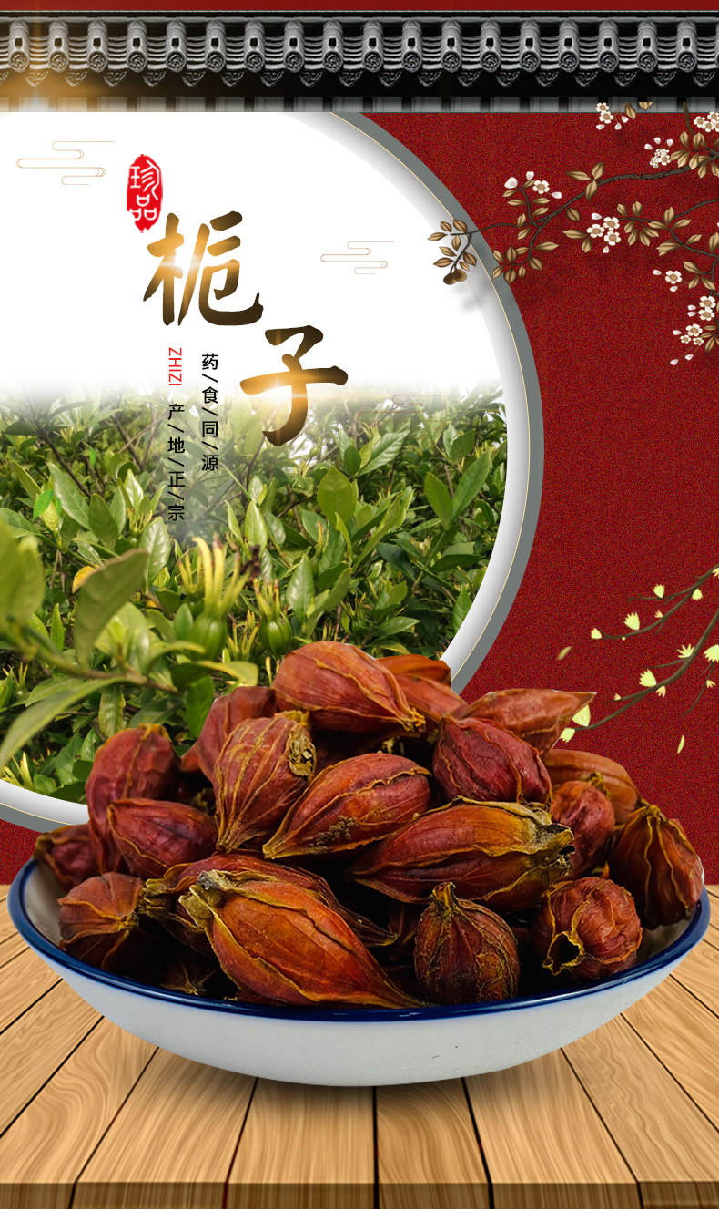 Gardenia Fruit Zhi Zi 500g Dried Fructus Gardeniae Herbal Decoction Pieces overview
