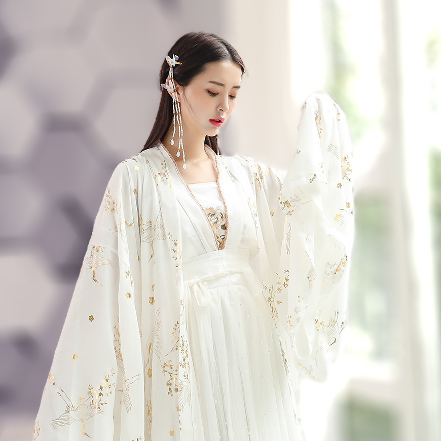 Hanfu female fairy spring and autumn elegant Chinese style, the wind, the old, the old, the super fairy student suit