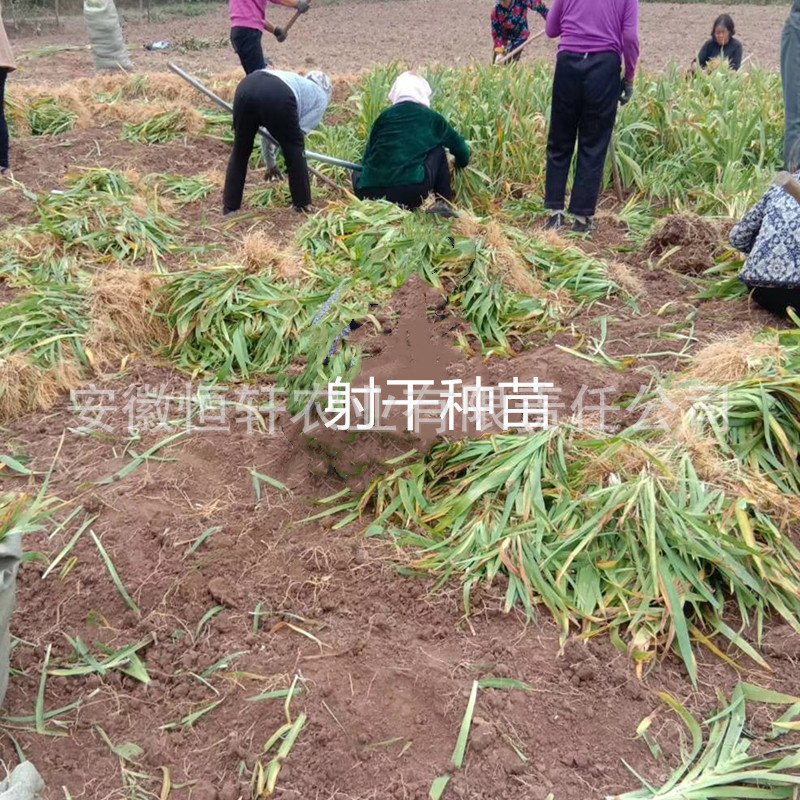 QQ图片20200207095812