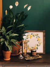 �p�ݲ����T̨�����T������Ϟ�T̨��ʽ�͹Ų����b�Ʒ�[�O�Ĕz����