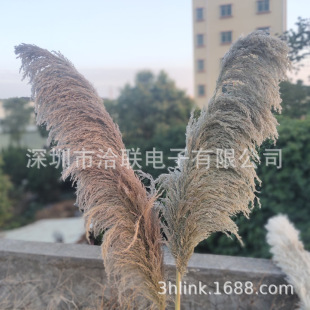 ԭɫ�J��һ߅����ë���JȔ��U��̖��Y�����ɫ������JȔ�ɻ�