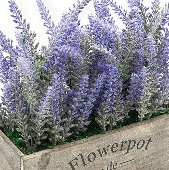 薰衣草木盆详情图1