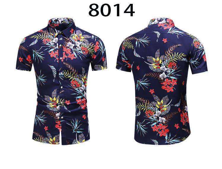 77dc85ff84a1a499320b16ec6f4818