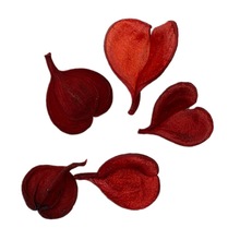 进口 爱心壳 干果 干花装饰插花天然植物家居摆设