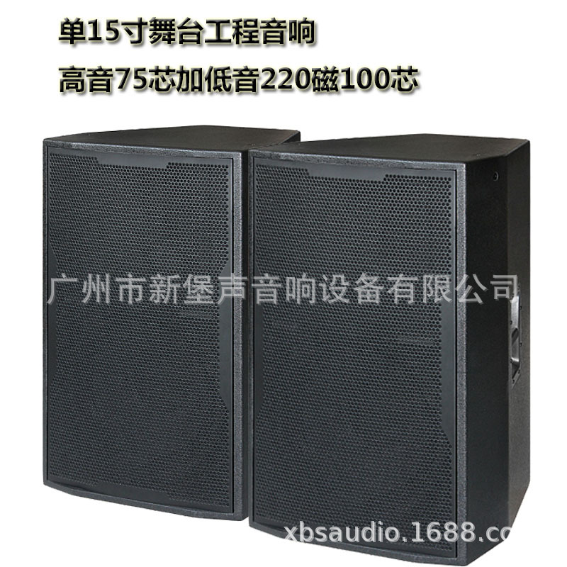 CT-15 15寸音箱1