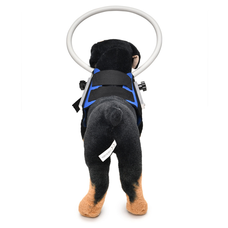 无题目录 09626.JPG