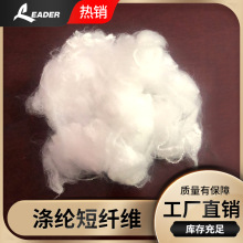 Sa c]wS 5.0dtex*51mmcSֱ