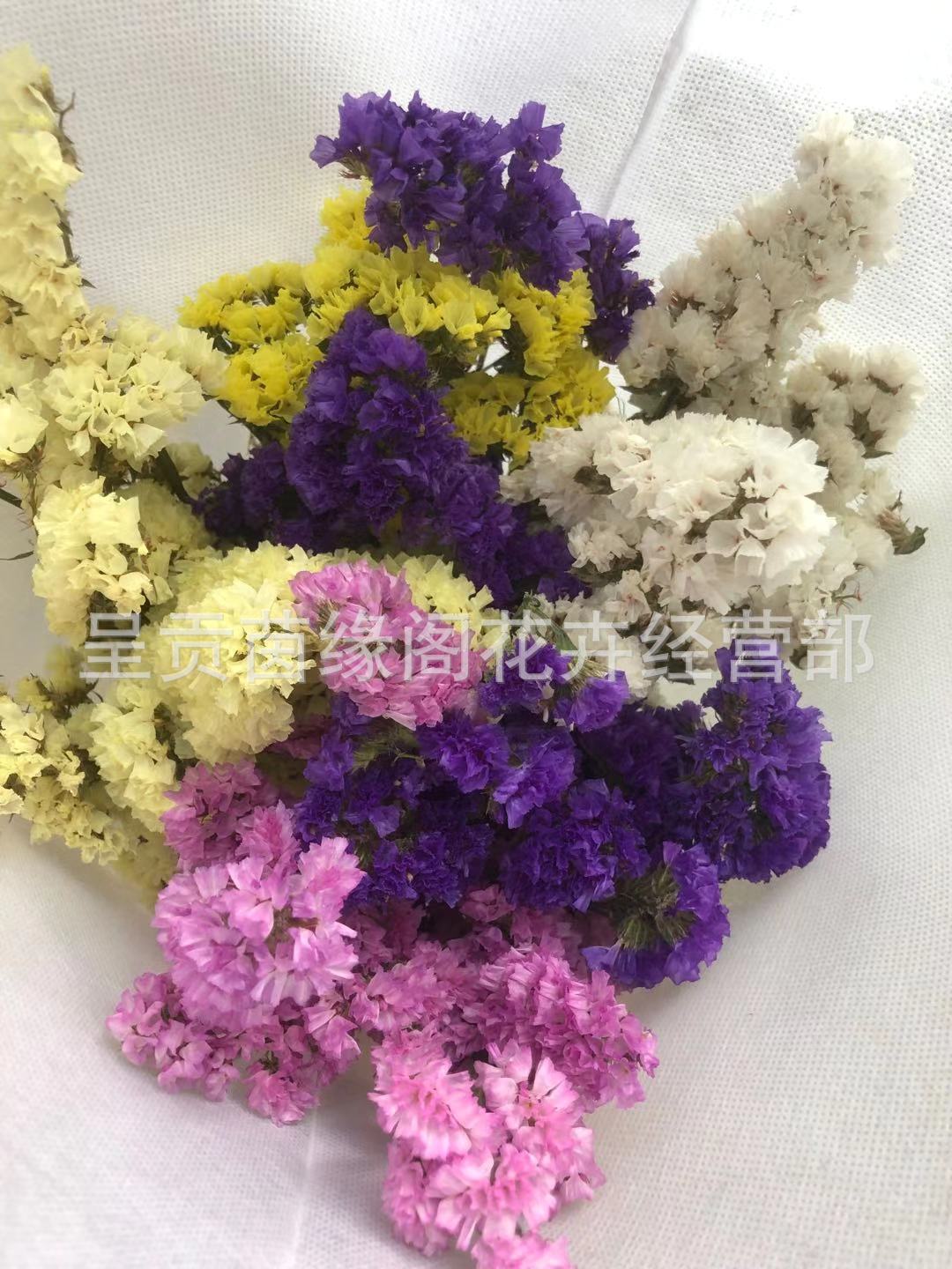 e695f5751d0e005f6f1ee024e8c5b4