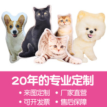 宠物仿真狗兔子猴子小鸡玩偶布娃娃礼物定制 公仔异形3d 棉花娃娃