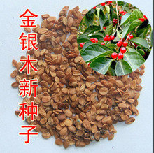 ���yľ�N�� ��ľ�G���е���ľ��ľֲ���N�� ��Ʒ���C�lѿ�ʸ�