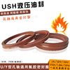 Fluorine rubber skeleton oil seal USH Hydraulic pressure oil seal currency seal ring