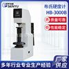 Manufactor supply Hardness tester HB-3000B cast iron hardness Tester Electronics to turn to hardness