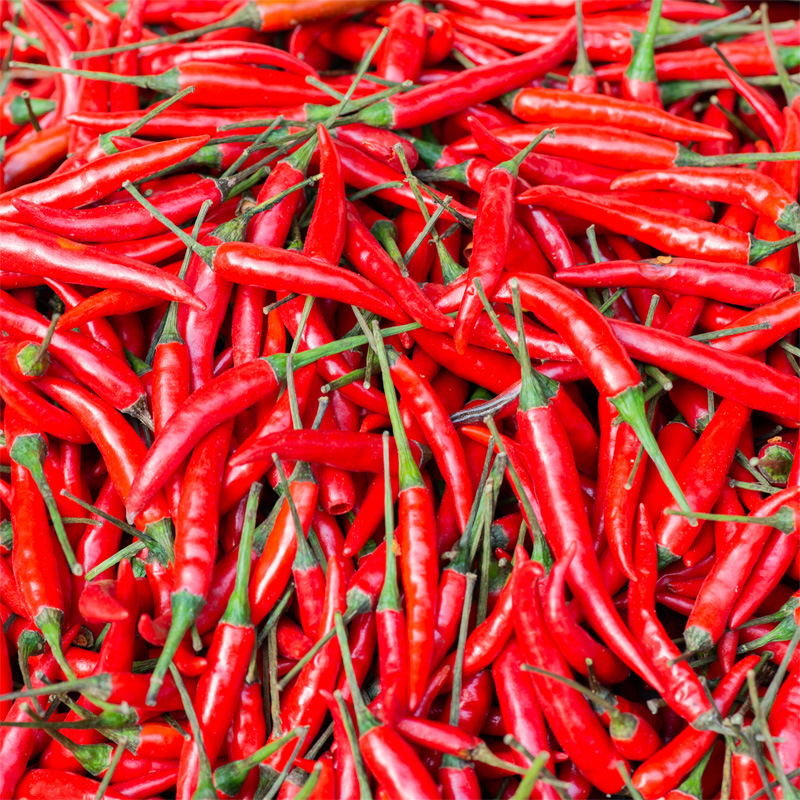 undefined5 fresh millet Chili peppers Red Hot Chili Peppers fresh Zhitian Pepper 5 Colorful Special spicy American pepper Vegetablesundefined