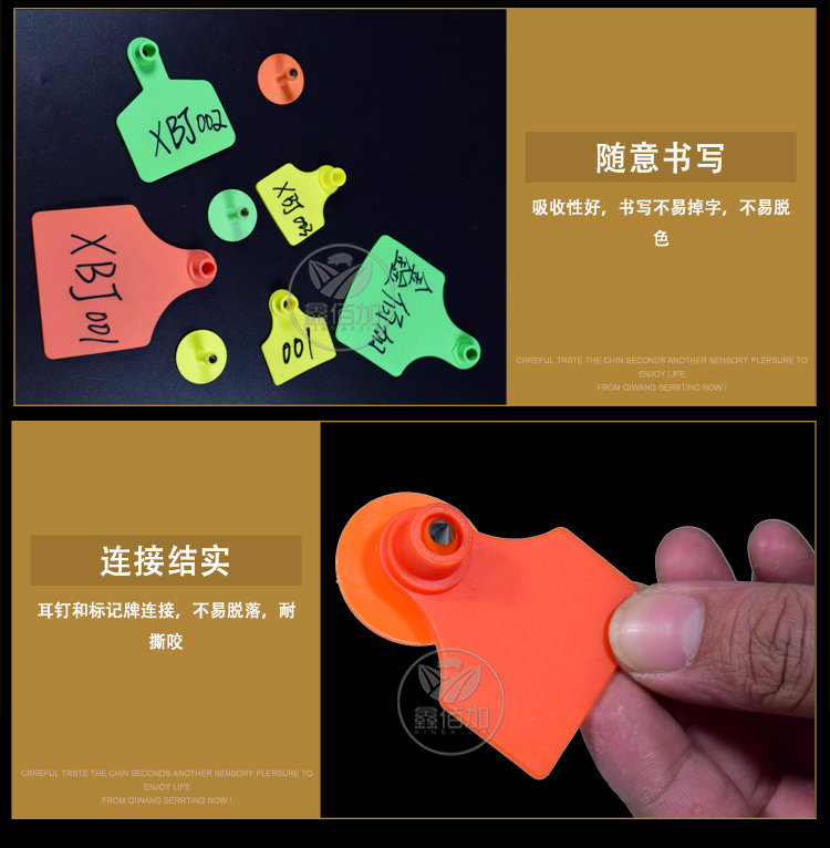 猪耳标AB详情页 (9).jpg