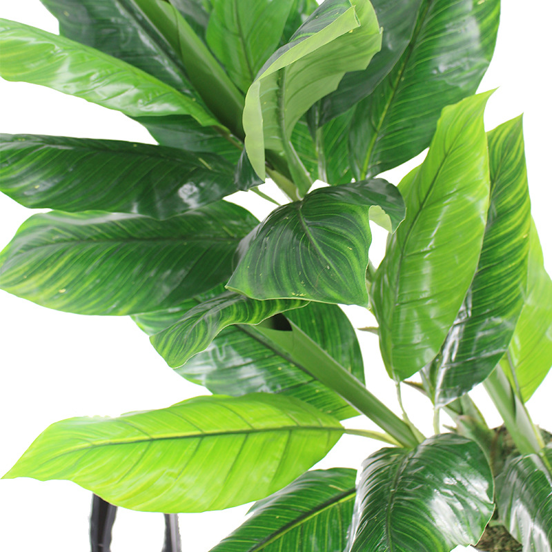 XRS-147盆栽三杆美人蕉 (4).jpg