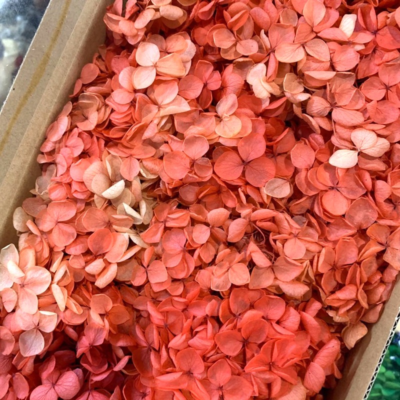 微信图片_20200702163814