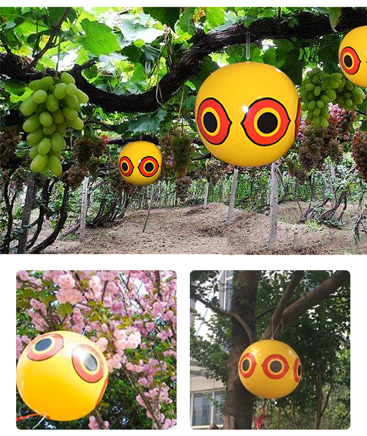 未标题-2-副本_03