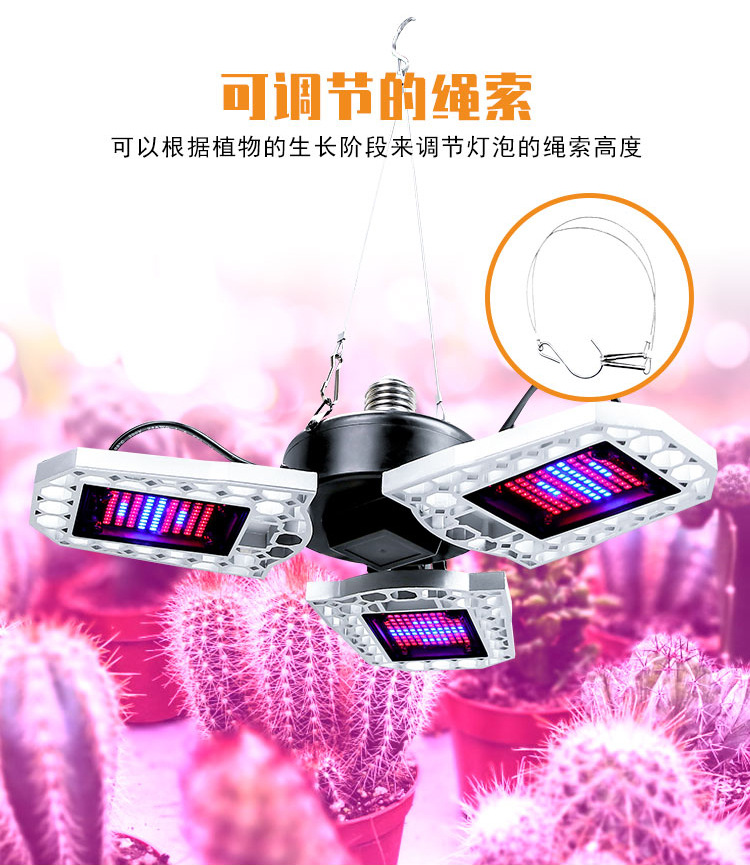 全光谱-植物灯-(阿里巴巴）（红蓝光）详情页_10.jpg