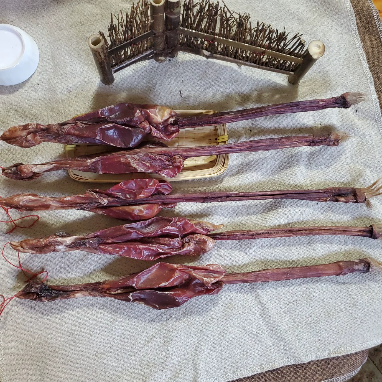 Оригинальные товары хлыст сушеный хлыст большой хлыст оптом хлыст осла хлыст овечий хлыст свинья хлыст первичные поставки