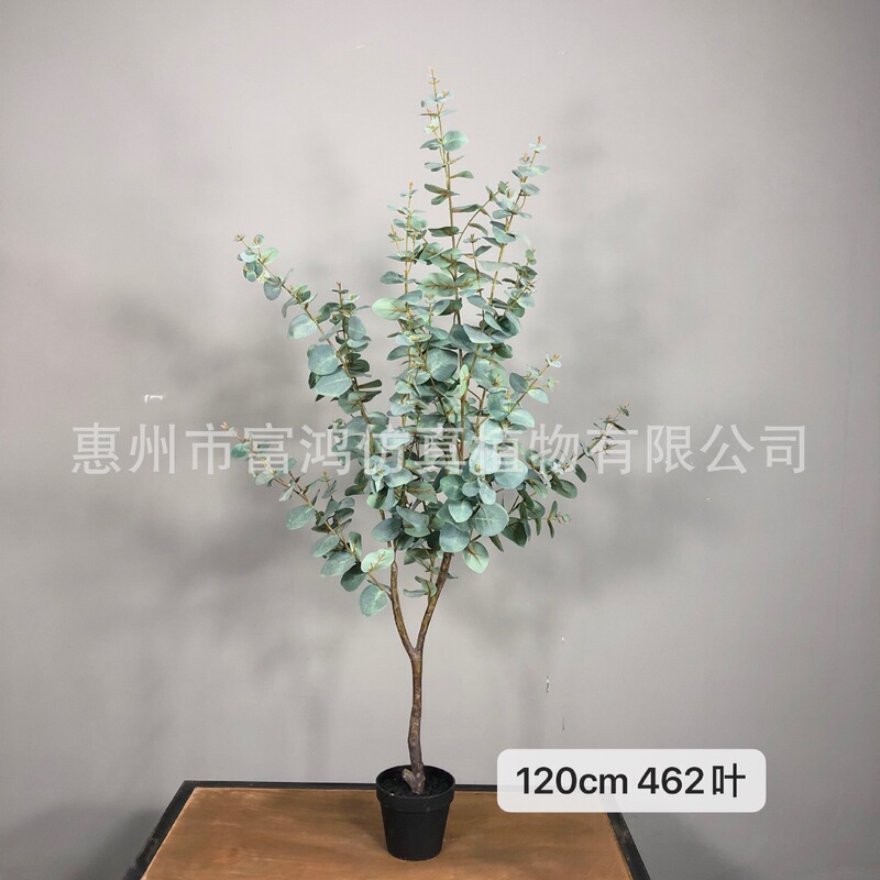 Simulation money tree simulation green plant potted plant decoration feel leaf eucalyptus money leaf tree simulation plant manufacturers Simulation money tree simulation green plant potted plant decoration feel leaf eucalyptus money leaf tree simulation plant manufacturers