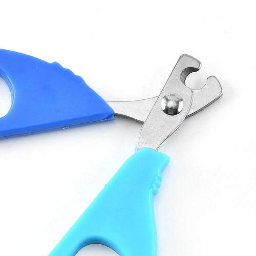 Stainless Steel Pet Supplies Beauty Nail Scissors Small Dog and Cat Nail Clipper Pet Nail Scissors Manufacturer Wholesale