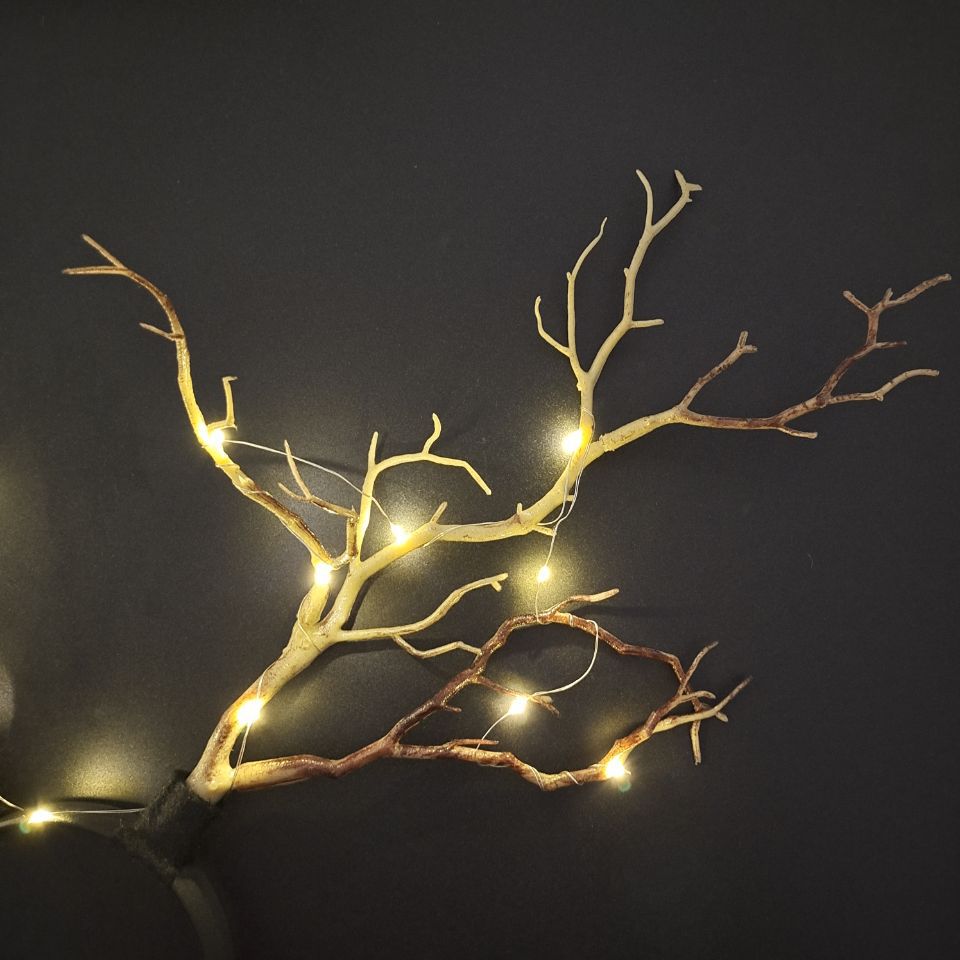 QQ图片20200529132837