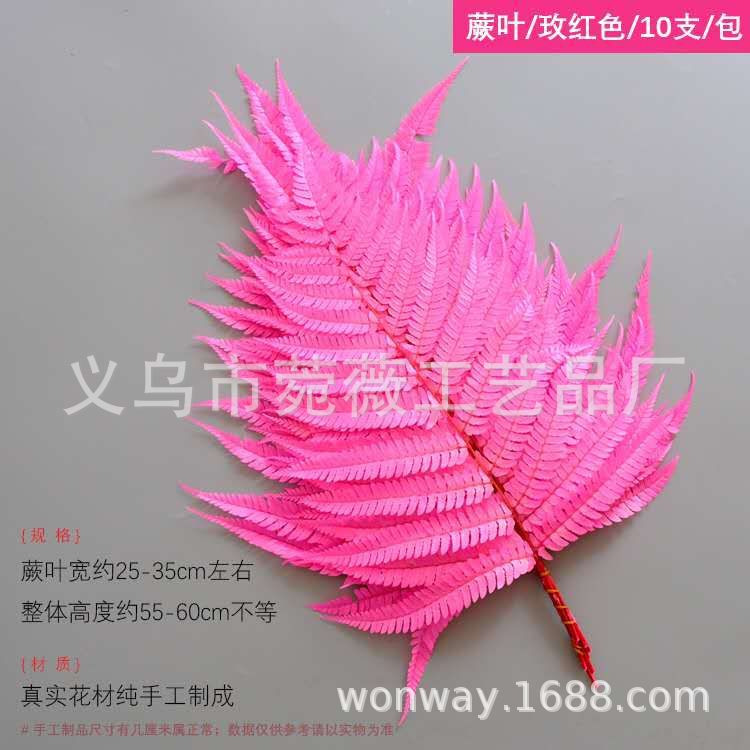 微信图片_20200601160105