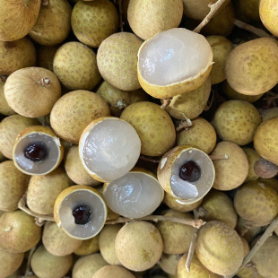 Longan Thailand Longan Fresh Fruit 5 Catties of Longan Fresh and Sweet Cumulaturation Circles