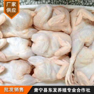 Поставки оптом Hebei San Pension Hens замороженные курицы быстро -курица -курица, добро пожаловать на заказ