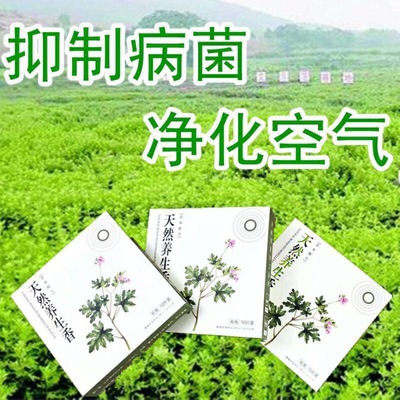 艾草香 預防流感 抵制病菌防疫防塵消毒室內淨化空氣細菌天然艾香
