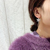 Silver needle, accessory, zirconium, long universal earrings with tassels, silver 925 sample, flowered, internet celebrity